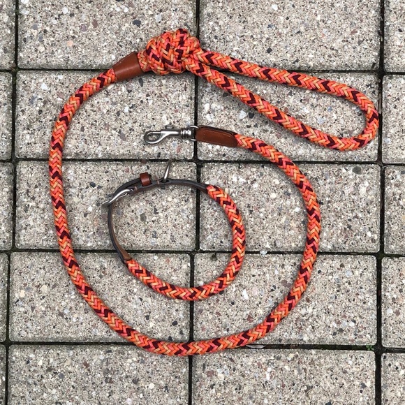 ⭐️Host Pick⭐️ Zara Multi-Coloured Braided Leash and Collar - Picture 9 of 12